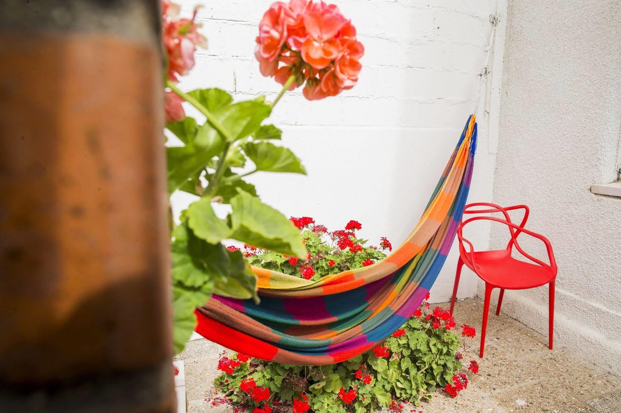 Hostel Jaguar Vina del Mar Dış mekan fotoğraf